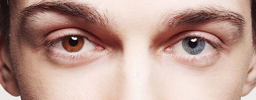 От чего зависит цвет глаз