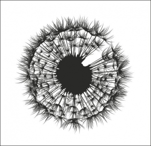 Оптика К-ОПТИК на ул. Дунина-Марцинкевича, 2/1 